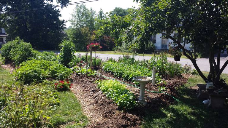 2016 Kitchen Garden Tour winner Karin Harrison&#x2019;s garden.