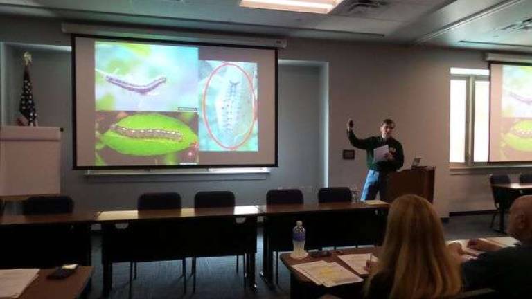 Scott Stitzer, pest management specialist with the state's Division of Forest Health (Photo by Frances Ruth Harris)
