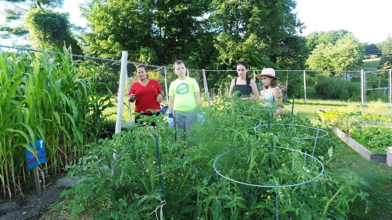 Rad Razberries celebrate season of abundance
