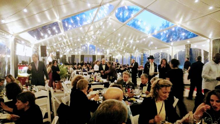 Elegance, and refreshment, under the tent (Photo by Anya Tikka)