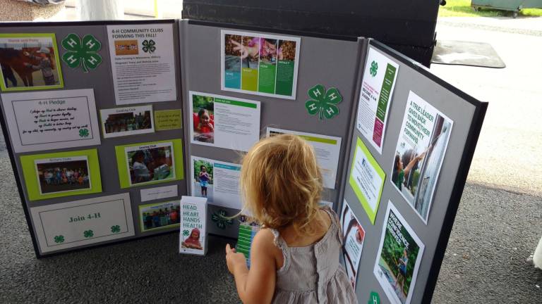 The eclipse viewing party was organized by the 4-H club who had an information display at the pavilion.