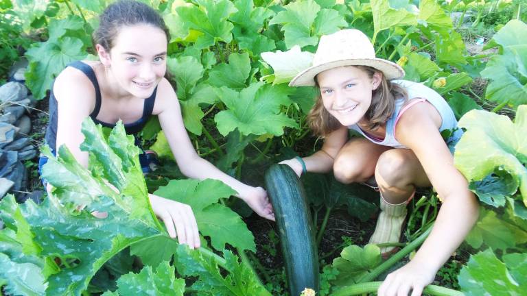 4H gardeners Ava Nienstadt and Hannah Williams discover a huge zucchini they overlooked during an earlier harvest (Photo by Frances Ruth Harris)