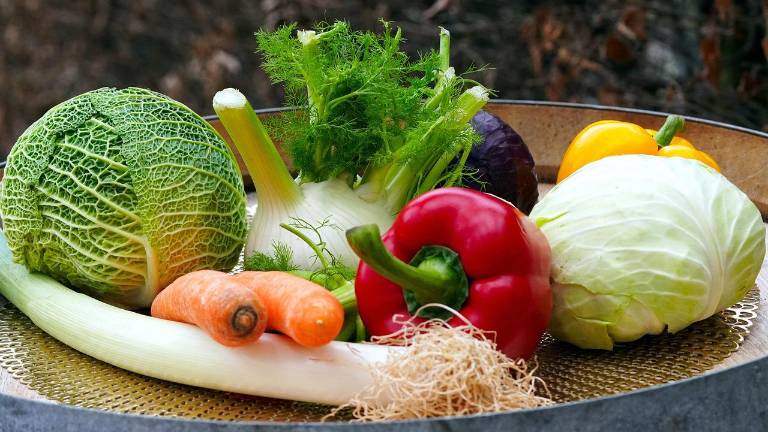 Fresh vegetable food pantry