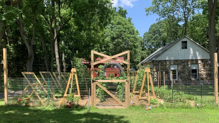 Peep this garden and a dozen others July 26