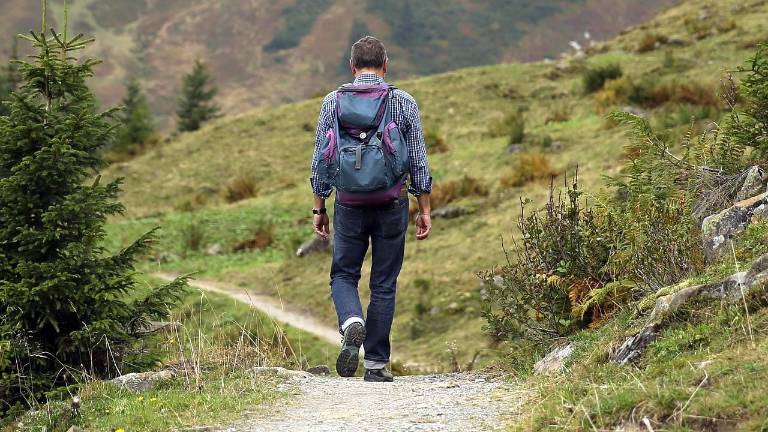 Explore the Delaware State Forest with a hike