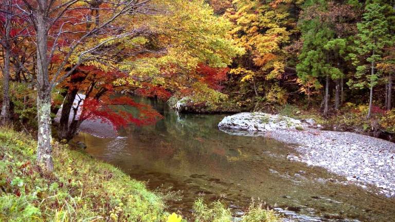 $12.5M funding awarded for watershed restoration