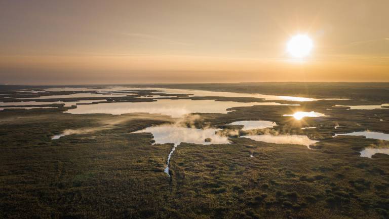 Probst introduces legislation to protect local wetlands from rising data center demands