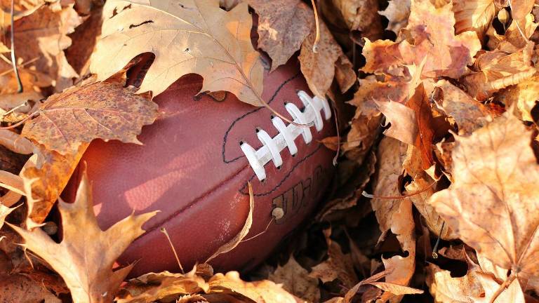 DVHS loses to Hollidaysburg in season-ending game