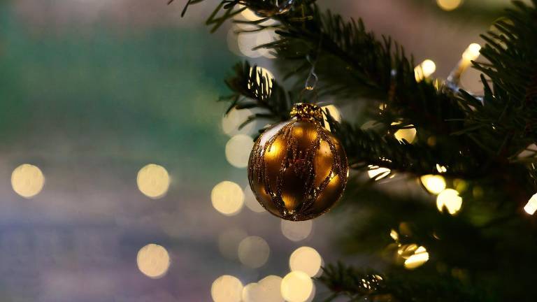 Tree lighting ceremony kicks of festive community season