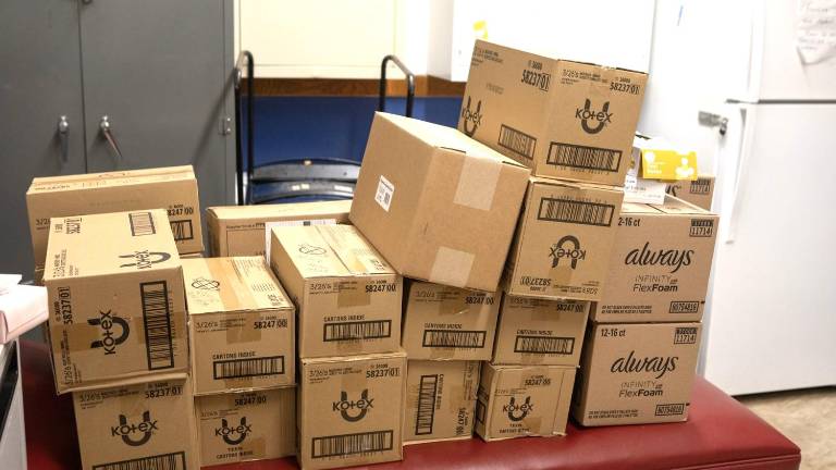 Pike County will receive $12, 593.29 for period products under a state initiative to make them more widely available to students.