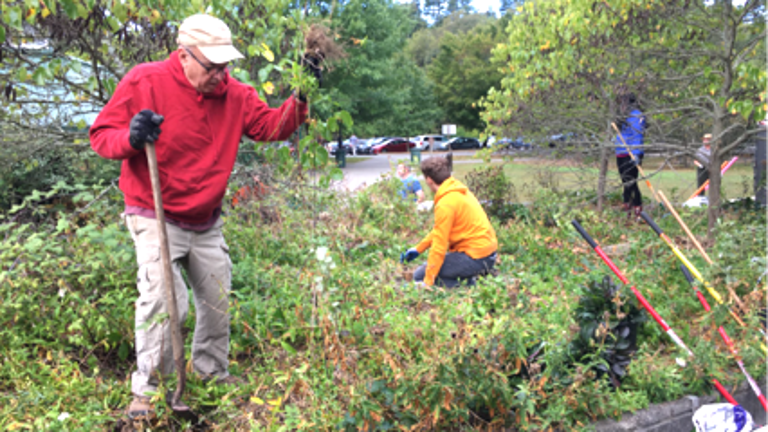 Delaware Water Gap NRA staff and volunteers participate in a volunteer project at the Milford Beach plaza.