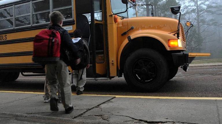 Safe driving near school buses examined