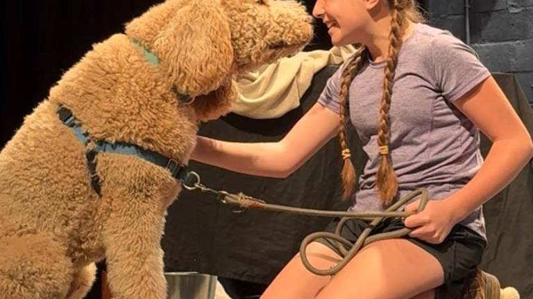 Annie (played by Maelyn (Mae) McCormack) with her stage dog Sandy (Played by local Goldendoodle Bernie)