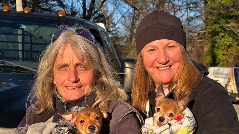 Lisa Chammings, left, holds Hero and Jeanette Campbell holds Tiny Tim shortly after the dogs were discovered in Stillwater Township, N.J., on Wednesday, March 18. After being sighted in the road in Stillwater, Chihuahua-mix Hero led Campbell and Chammings to a disabled older Chihuahua named Tiny Tim, who was stuck at the water’s edge at Swartswood Lake, unable to free himself from behind a dock. Photos provided by Lisa Chammings.
