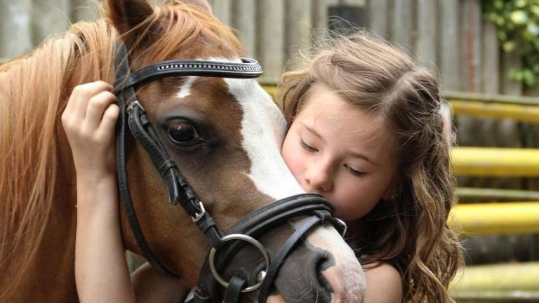 Registration open for therapeutic riding session