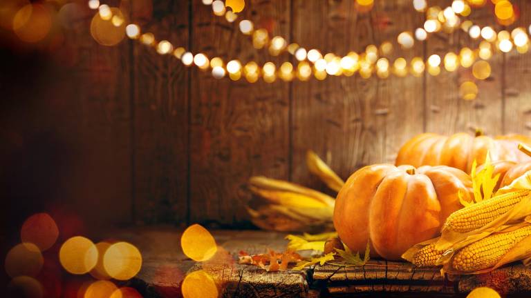 Fall festivals and Halloween happenings